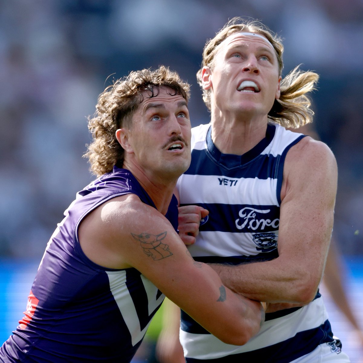 Fremantle Dockers tweet media