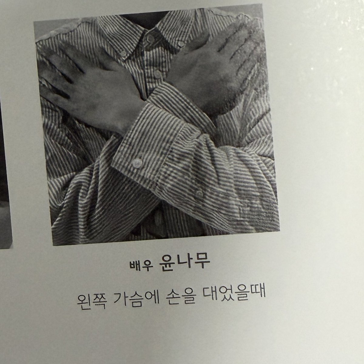 한그루 tweet media