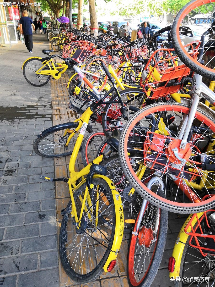 sophie lefebvre tweet media