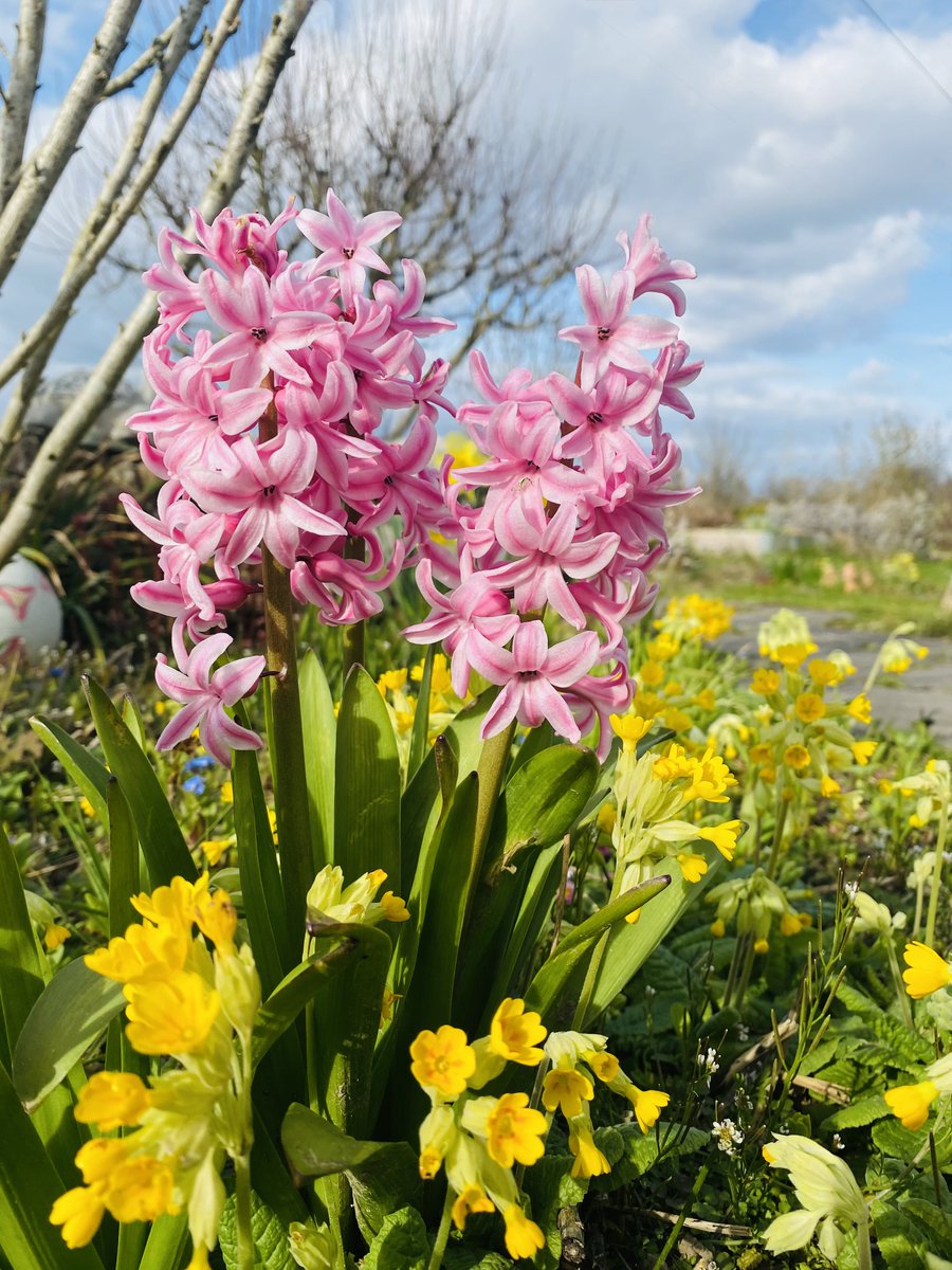 juju52🛫✨ tweet media