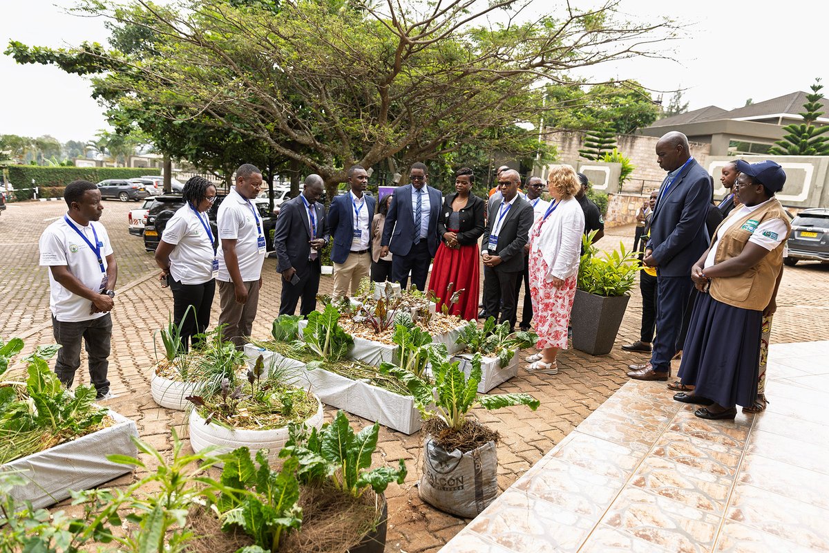 ActionAid Rwanda tweet media