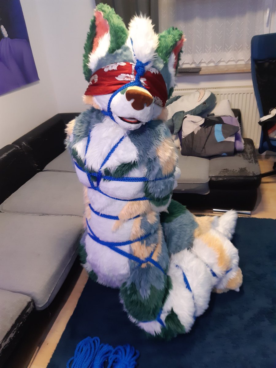 抹茶 Matcha 🇭🇰🇩🇪 tweet media