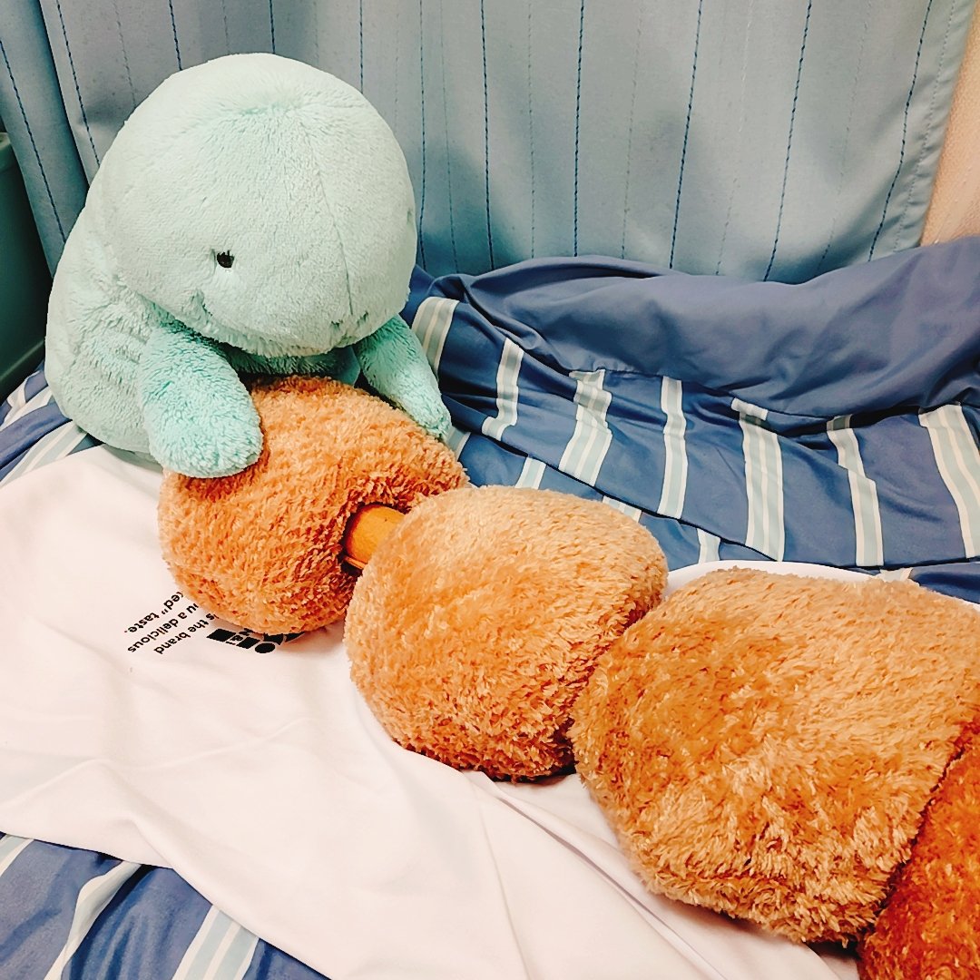 ぽかり🐡ぬい垢 tweet media