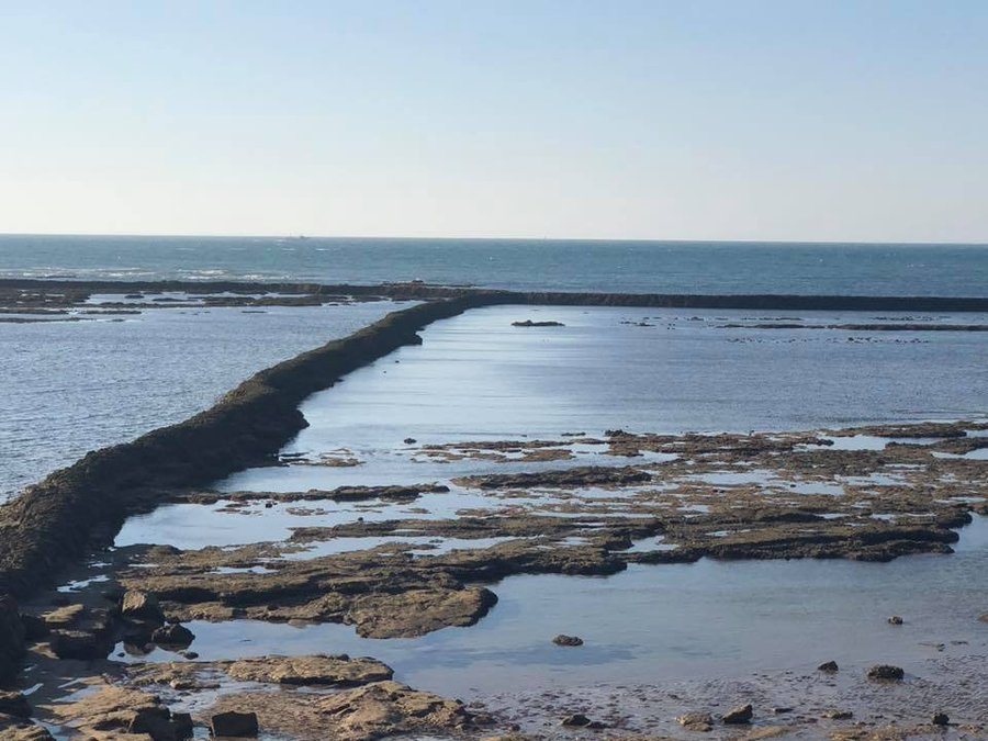 Underwater Cultural Heritage Of Stone Fish Weirs tweet media