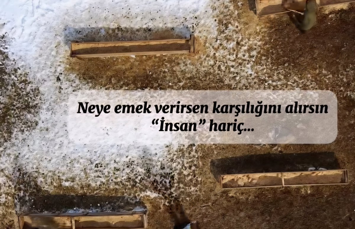 Yelizz (@yelizyty) on Twitter photo 