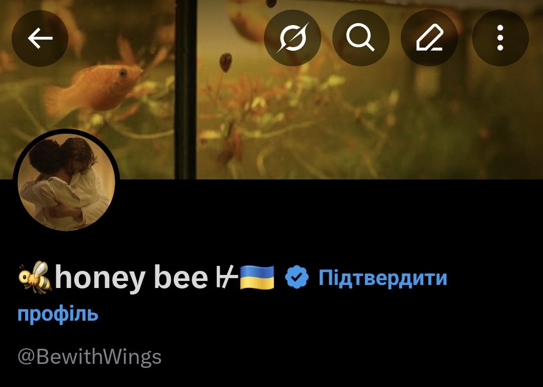 🐝honey bee ⊬🇺🇦 tweet media