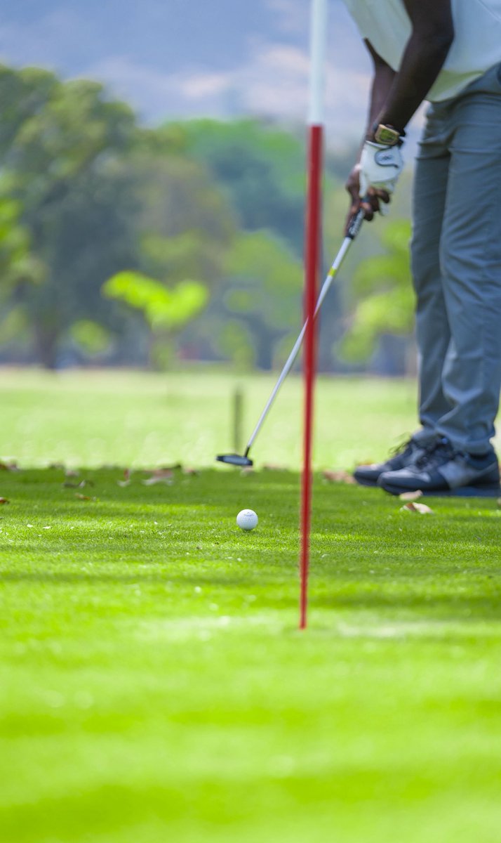Barka_U_mshelia's tweet image. Starting the weekend with a beautiful shot with precision, power, and focus. 

What’s your go-to golf technique and favorite club? 🏌️‍♂️

#WeekendGolf #GolfLife #PrecisionAndPower #Barkaumshelia