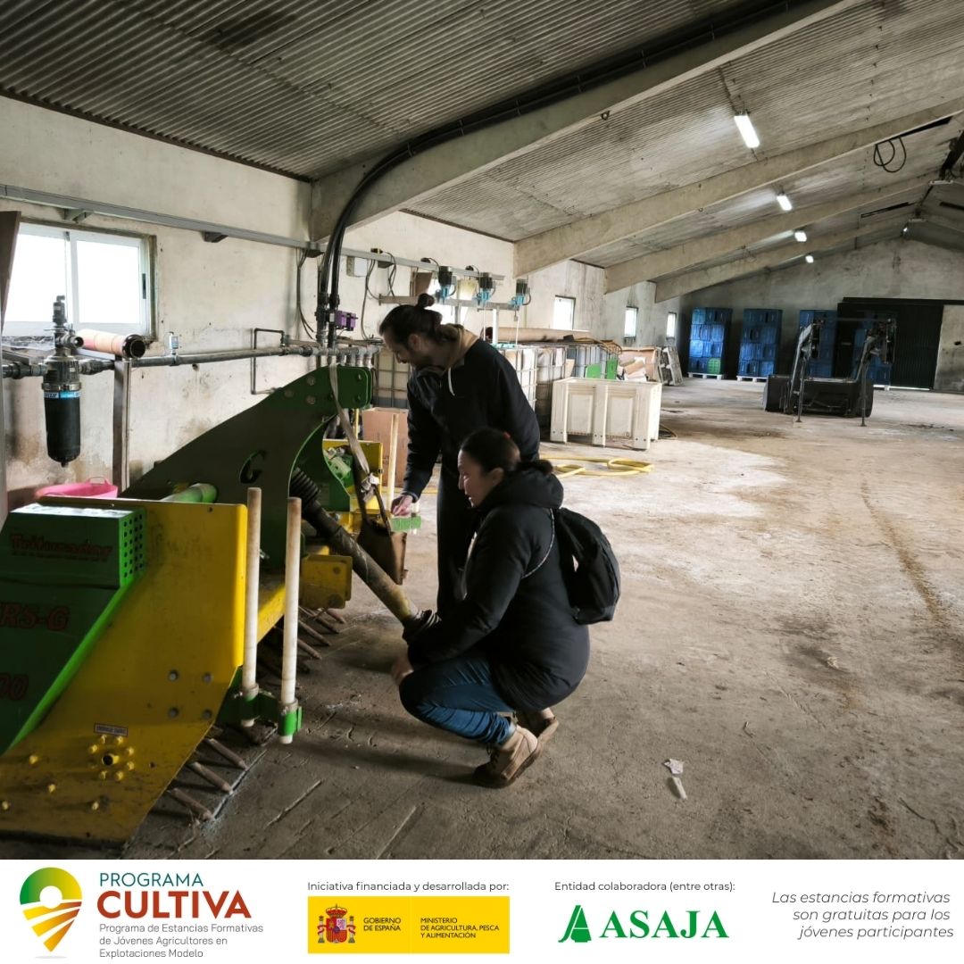 ASAJAJoven's tweet image. María y Óscar se forman en una explotación vitícola de la D.O. #RíasBaixas con 66ha y bodega propia en📍#Meis #Pontevedra |#ProgramaCULTIVA

Gestión integral del viñedo, tecnología y control de procesos
👉 ow.ly/WGq550YskmG
👉 ow.ly/q7Kx50YsknX
@gobmapa @Mar_de_Frades