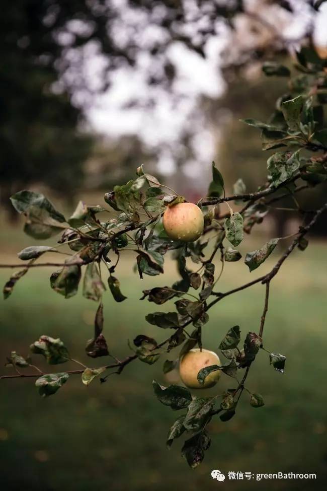 James Smith tweet media