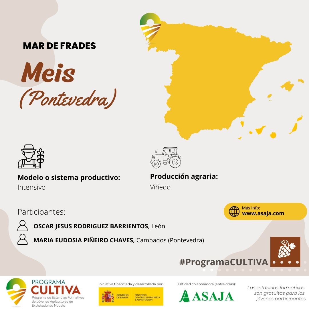 ASAJAJoven's tweet image. María y Óscar se forman en una explotación vitícola de la D.O. #RíasBaixas con 66ha y bodega propia en📍#Meis #Pontevedra |#ProgramaCULTIVA

Gestión integral del viñedo, tecnología y control de procesos
👉 ow.ly/WGq550YskmG
👉 ow.ly/q7Kx50YsknX
@gobmapa @Mar_de_Frades