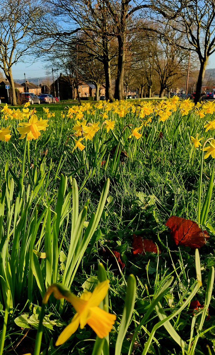 Nick Marston tweet media