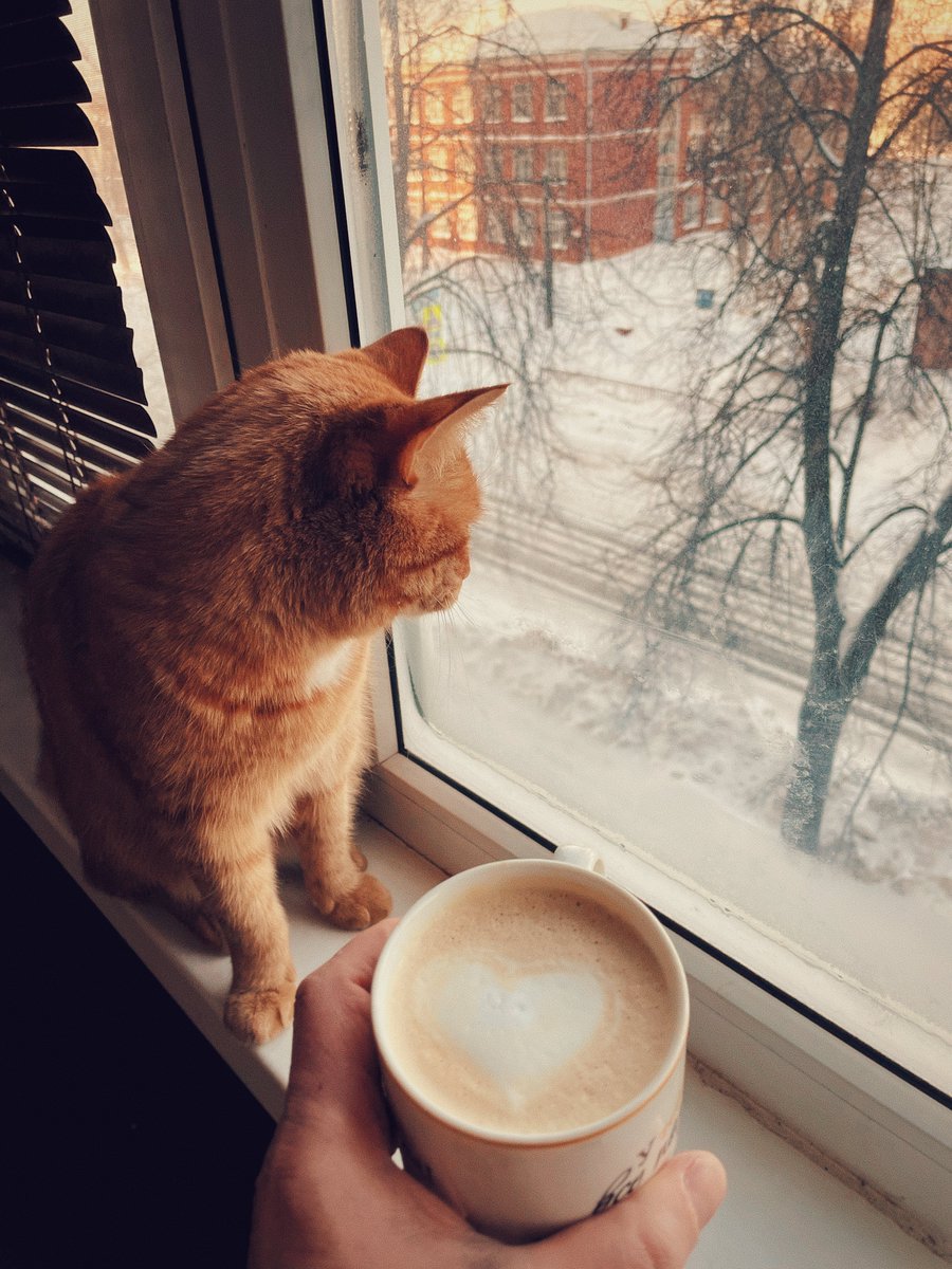 Aleksey Eltsöv tweet media