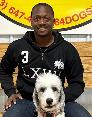 WorkingDogsForVets tweet media