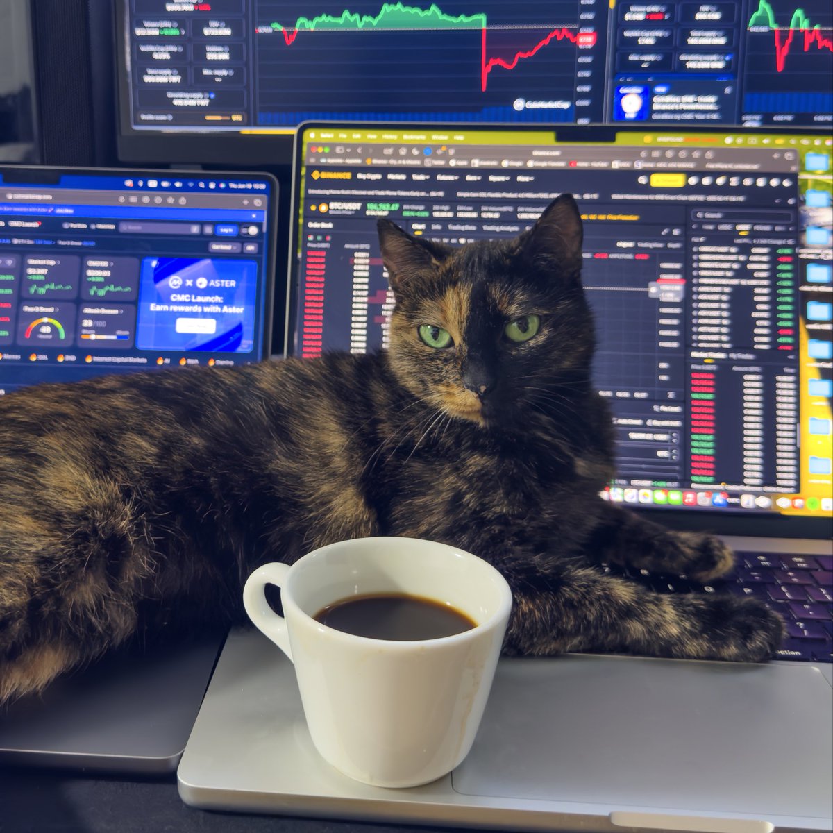 VANIKO  (Ivan) tweet media