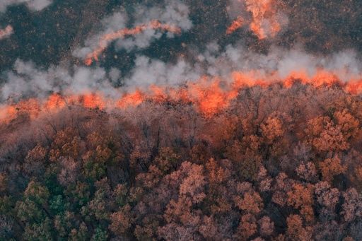 Arantec Engineering tweet media