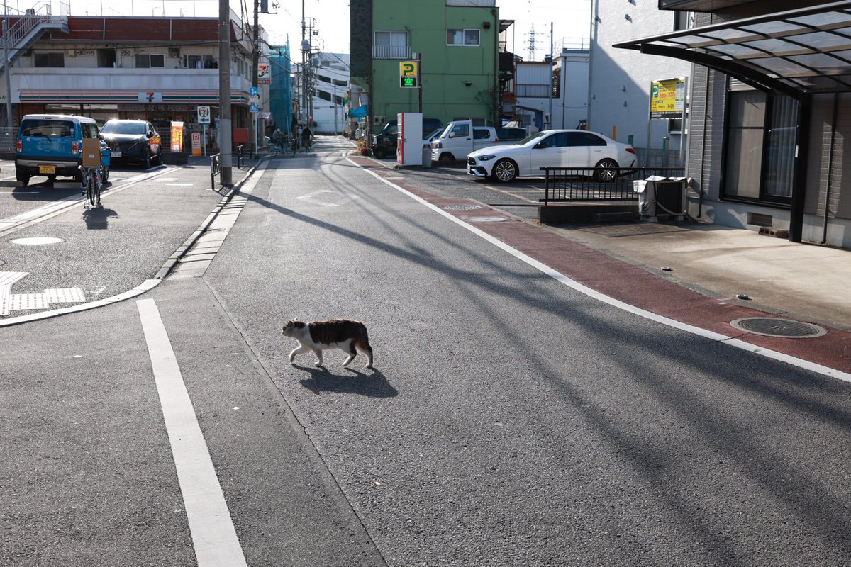 roppe (@enbundaisukii) on Twitter photo 