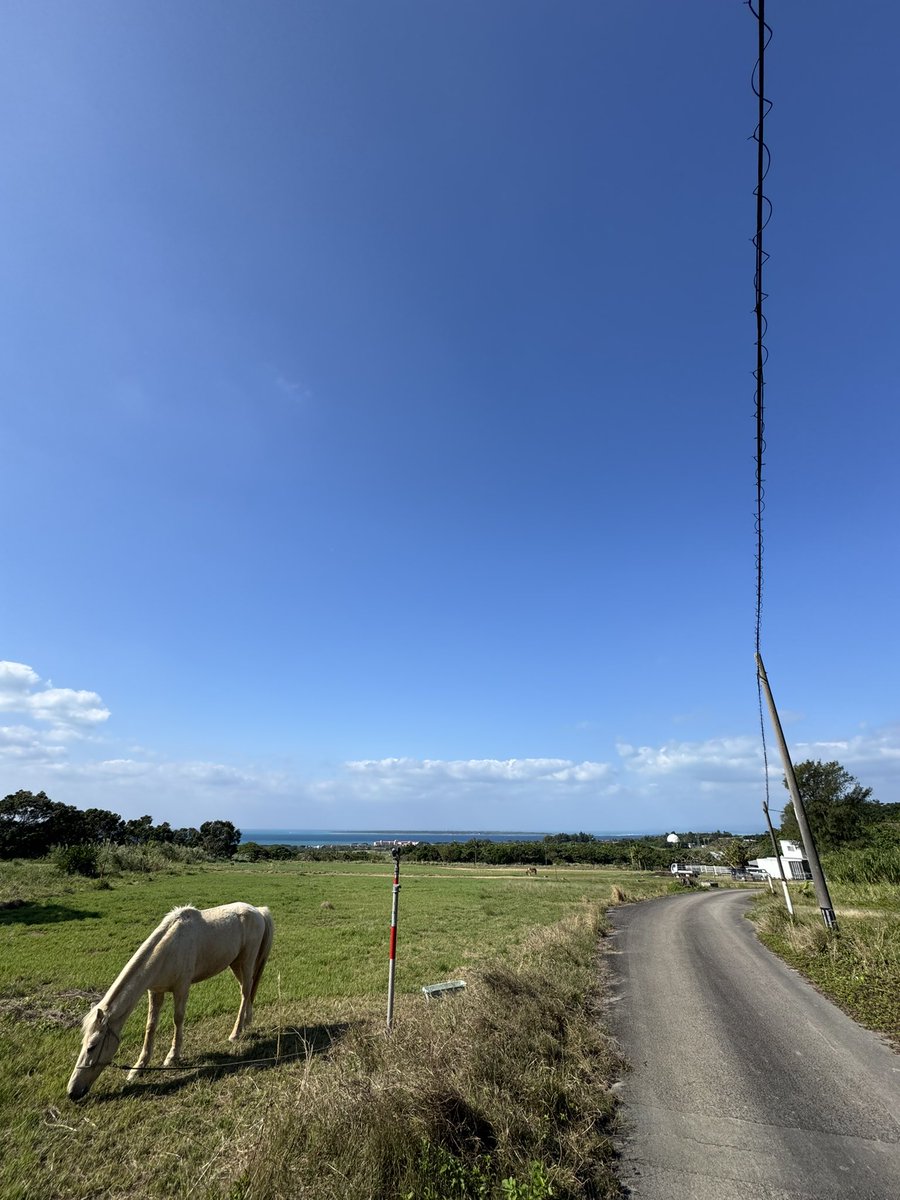 ⚡MetaXN_FSL 🌈 tweet media