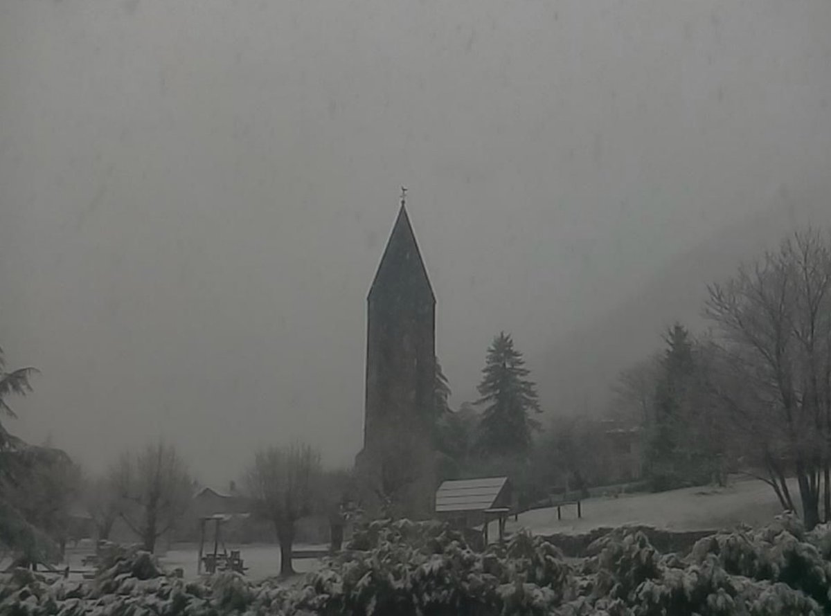 Neil Cormier tweet media