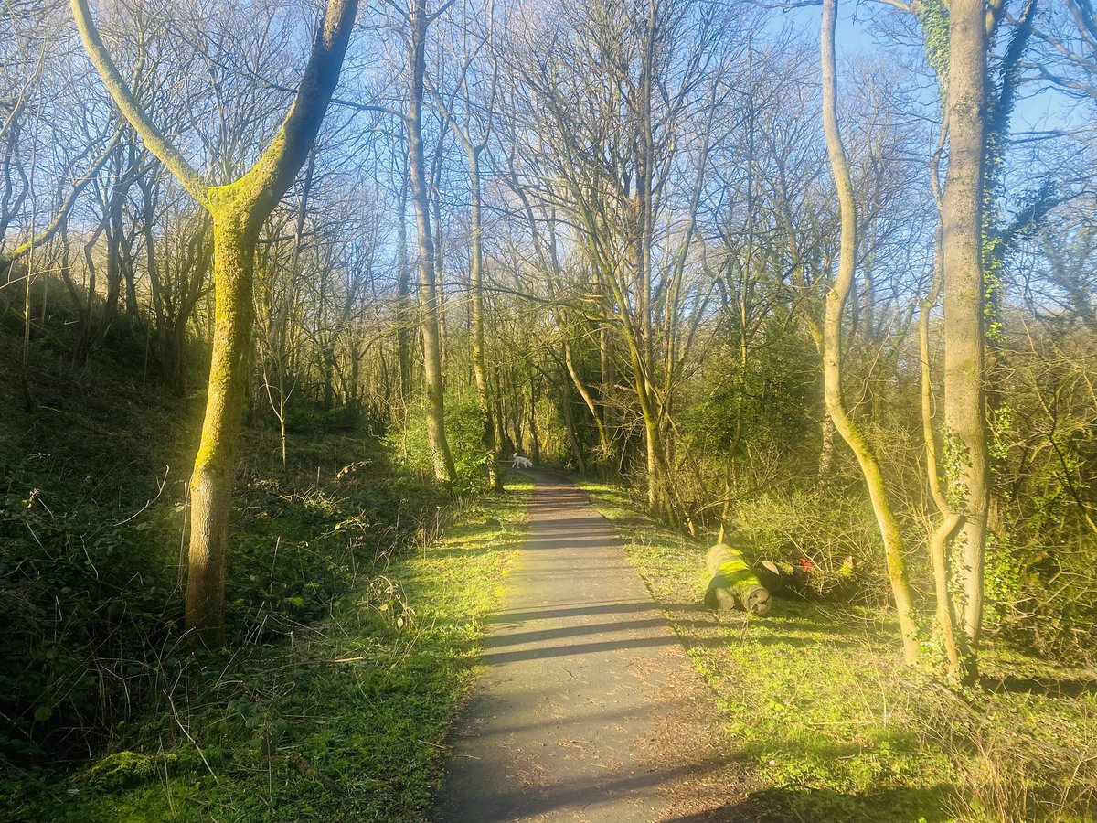 Mike Fox tweet media