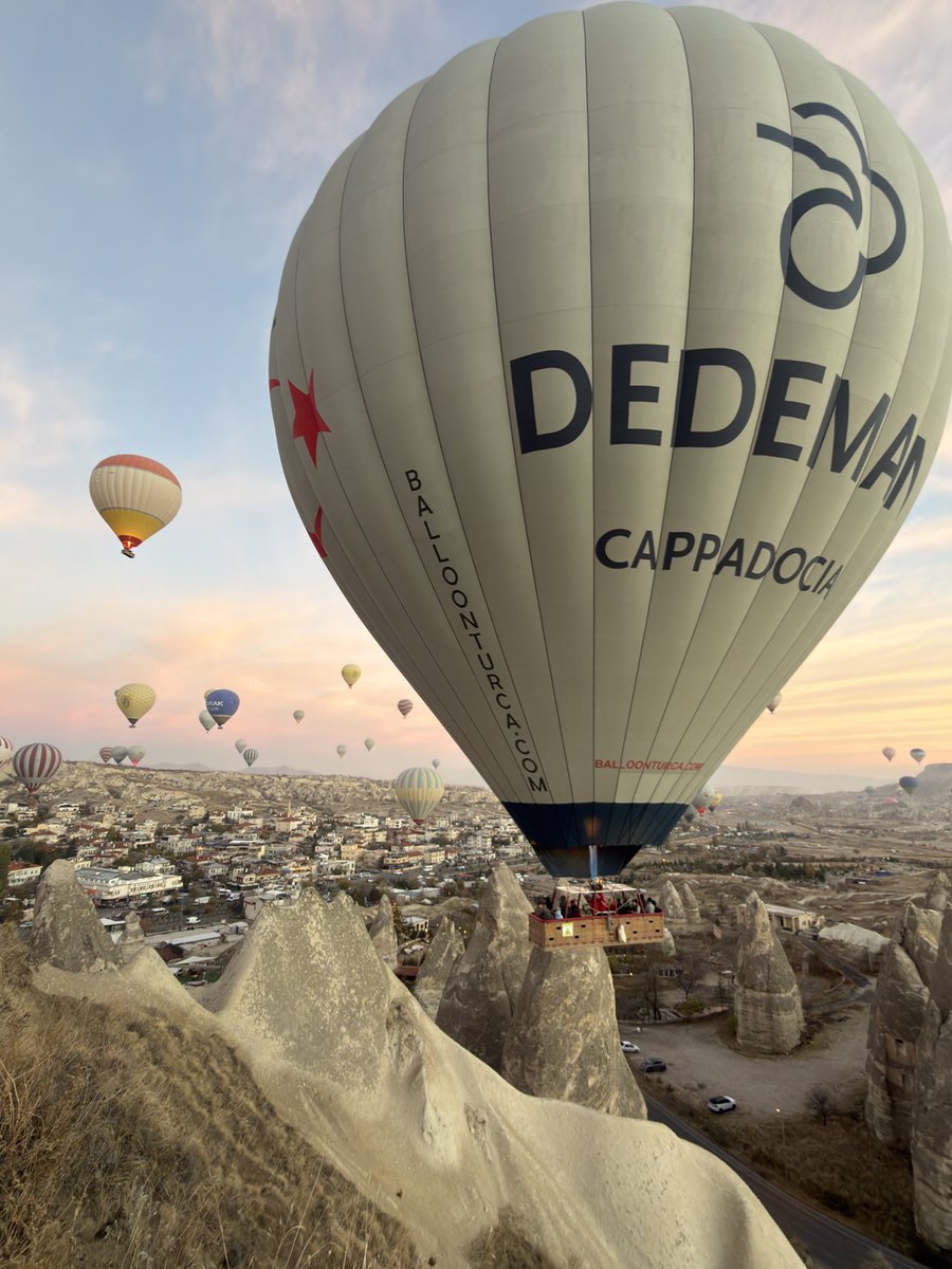 はせ 世界一周 tweet media