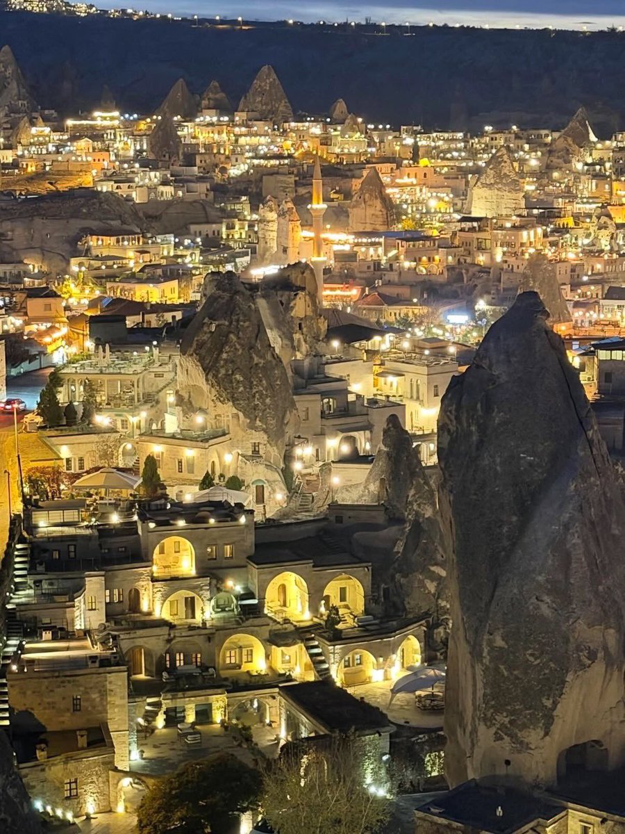 はせ 世界一周 tweet media