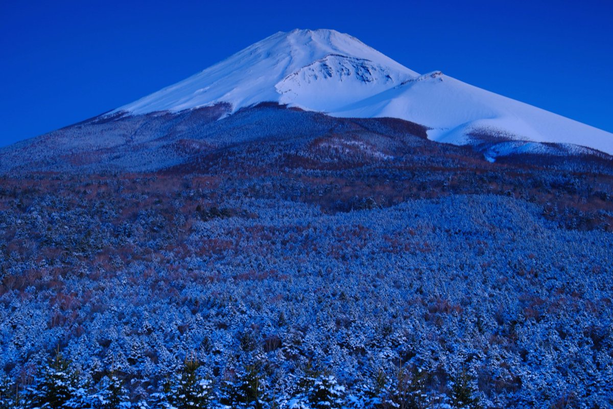 OKうえだ tweet media