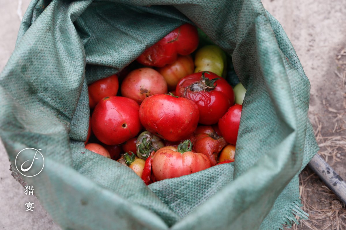 Veronica Zanetou tweet media