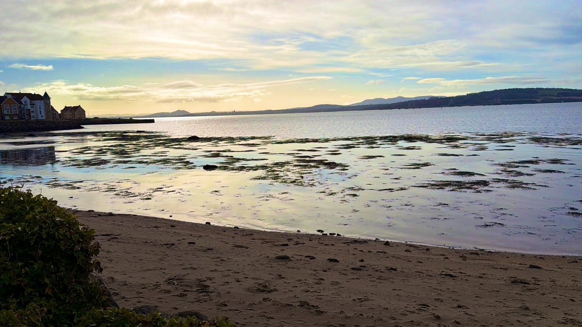 FPLVeteran_ tweet media