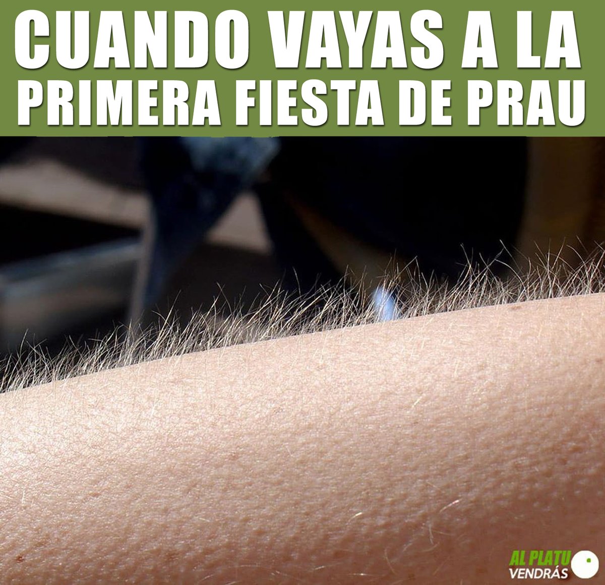 AL PLATU VENDRÁS tweet media