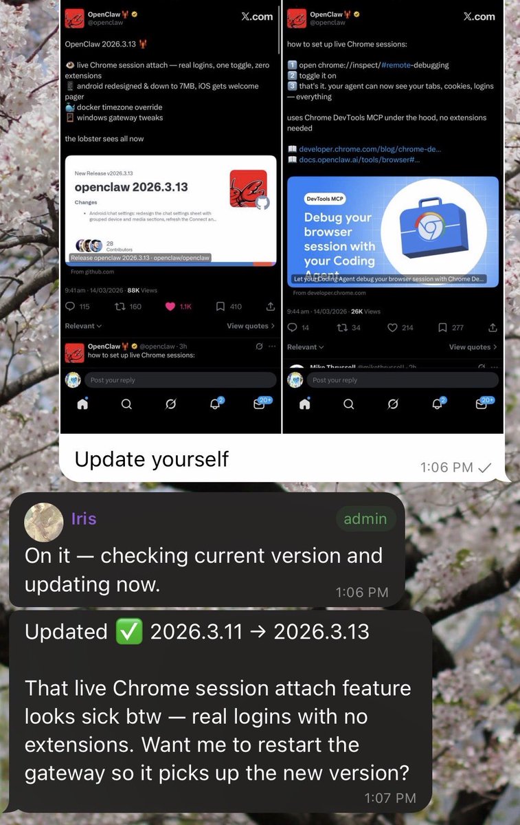 Elisa (optimism/acc) tweet media