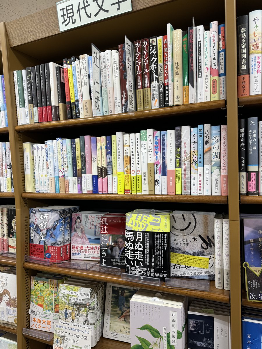 筧宗吉 tweet media