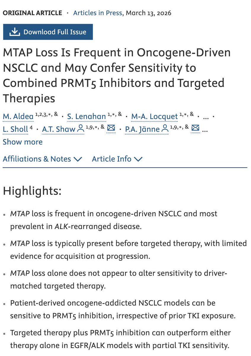 Oscar Tahuahua tweet media