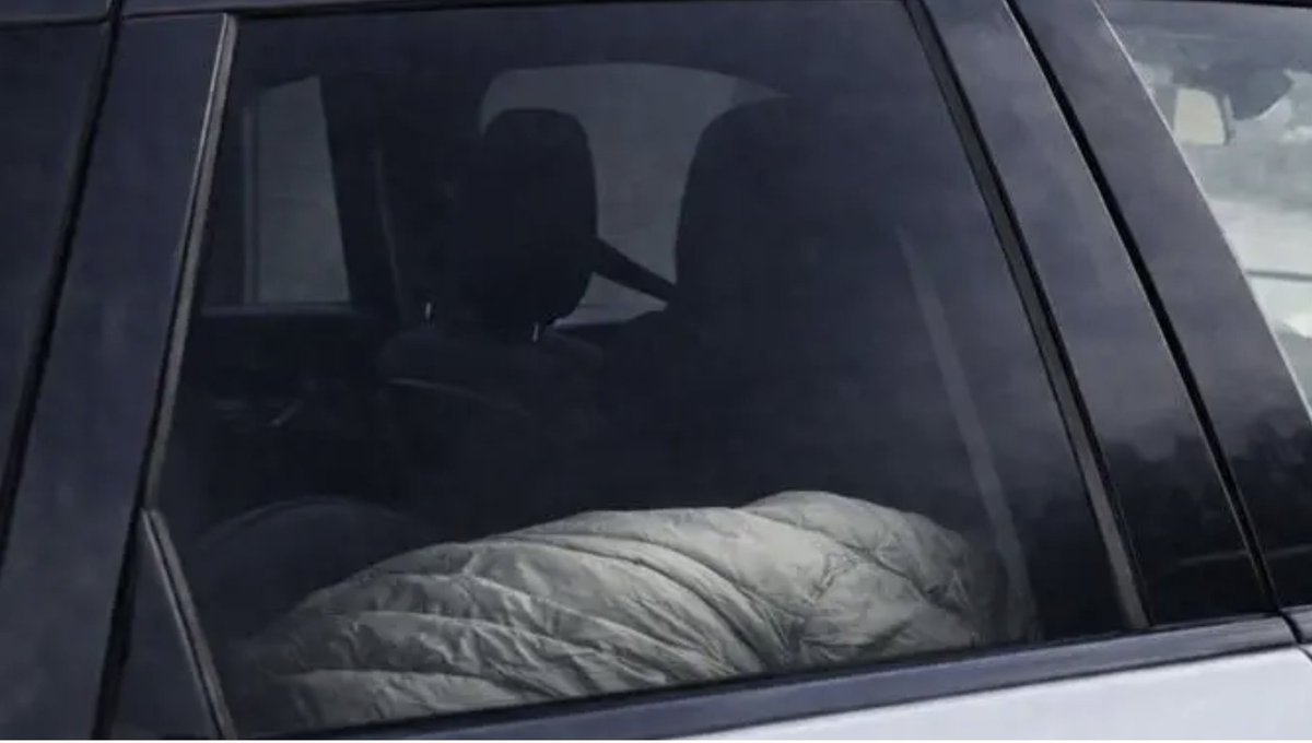 Prima di affidare una qualsiasi responsabilità ad un'assistente sociale che scrive in stampato maiuscolo  andrebbero analizzati il suo grado scolastico, il livello di istruzione, la sua vita affettiva, il suo vissuto familiare passato e presente e la sua condizione psicofisica.