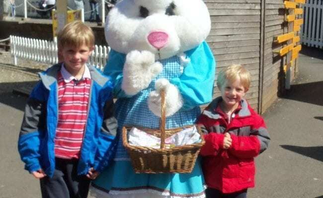 Devon's Top Attractions tweet media