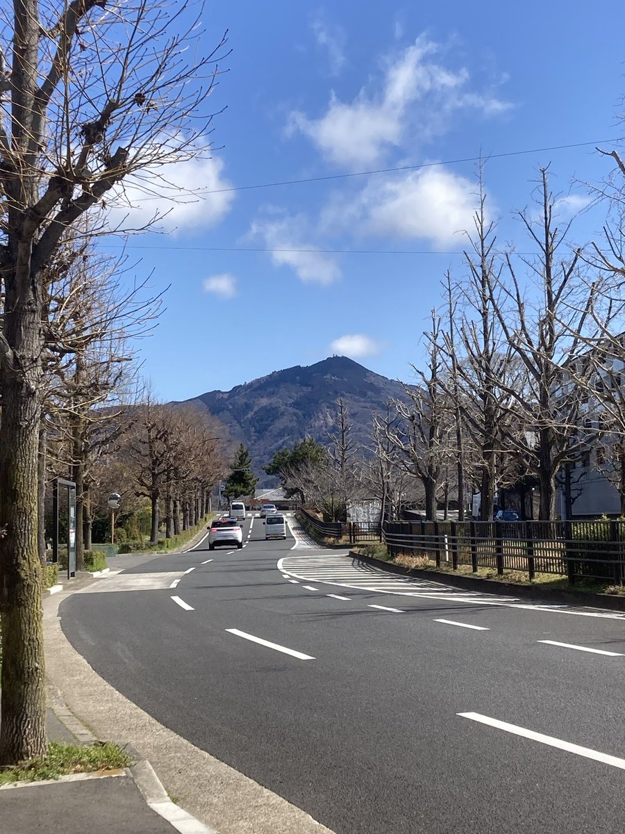 にょにょ tweet media