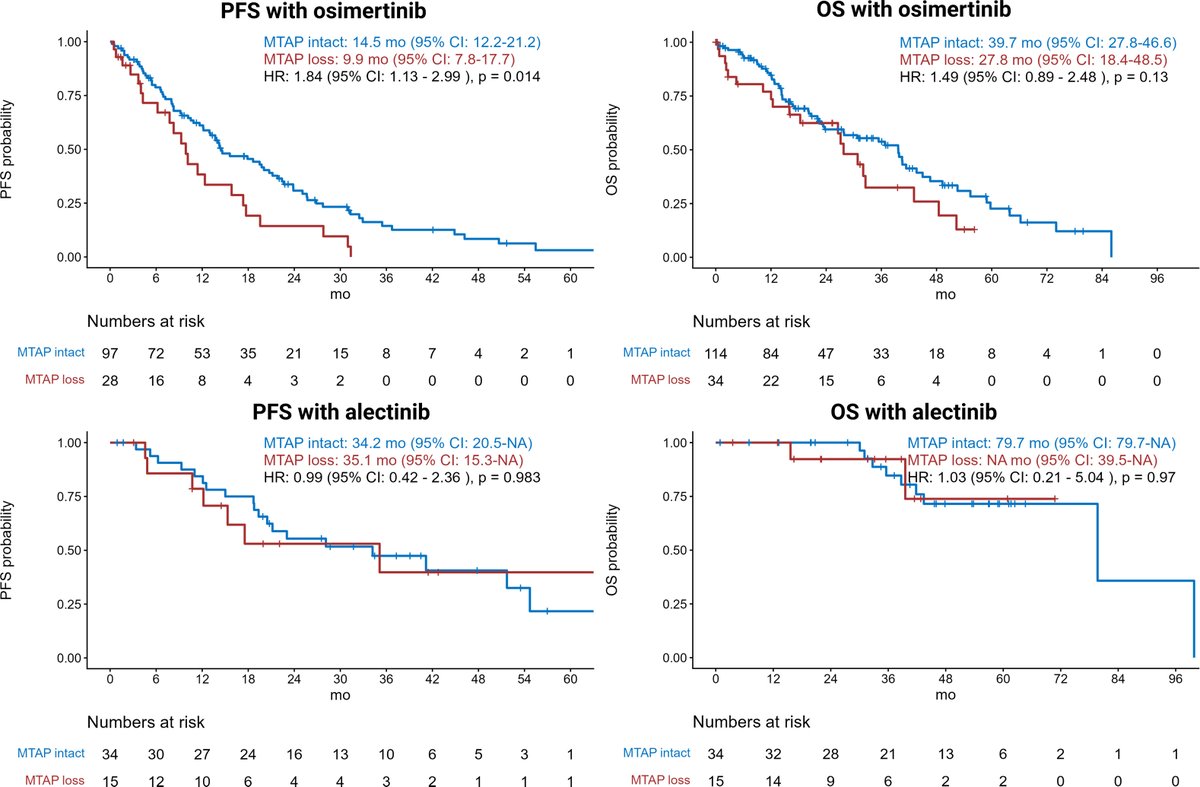 Oscar Tahuahua tweet media