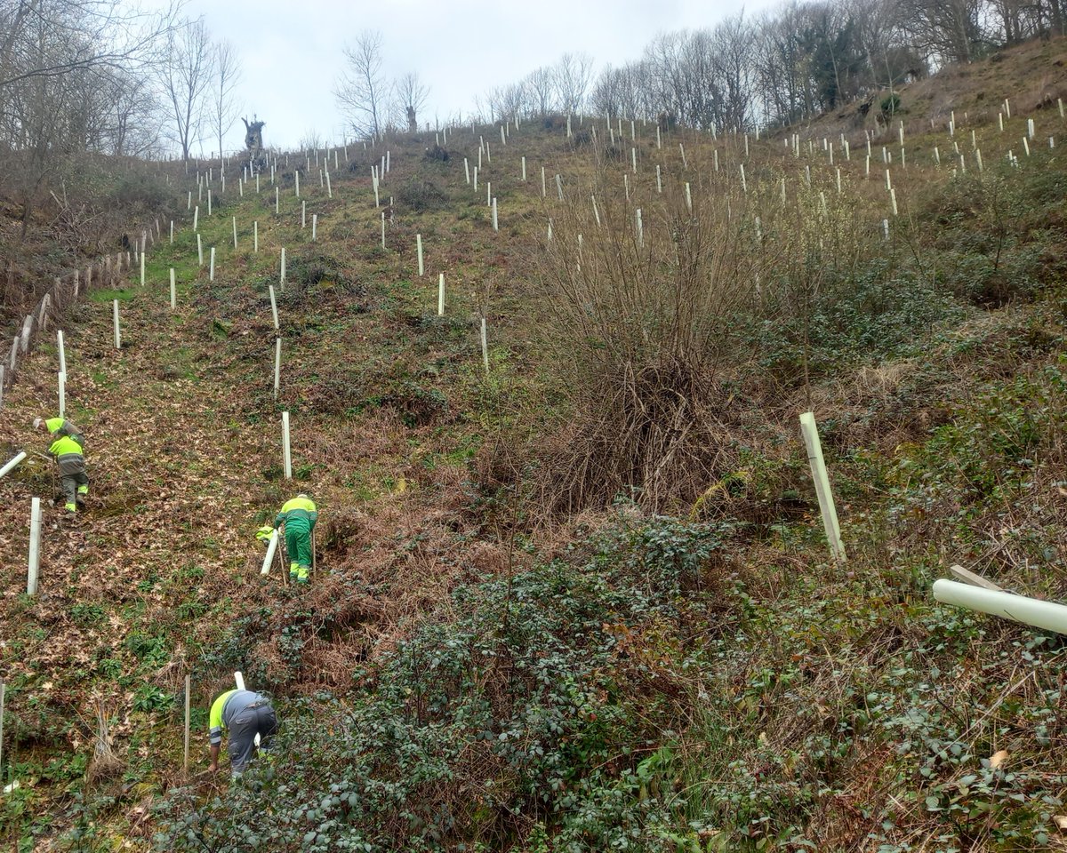 Basozainak / Guarderío de Medio Ambiente tweet media