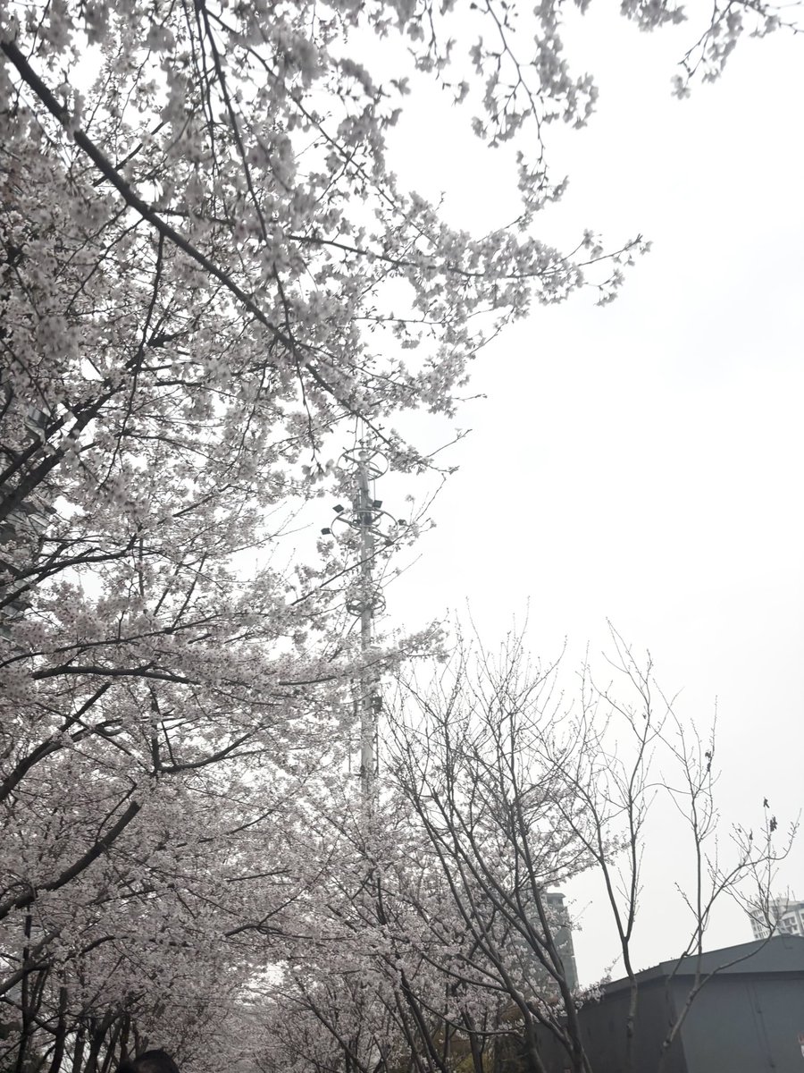 justcopy tweet media