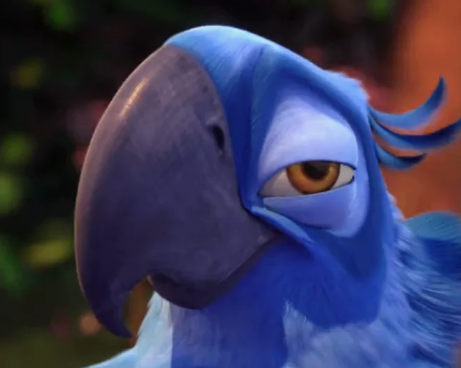 жалкий утопист Терри 🕊 viva Libertad tweet media