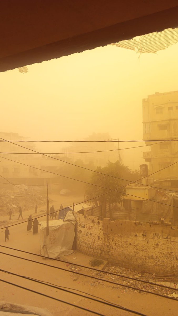 Eslam in Gaza🐈🍉 tweet media