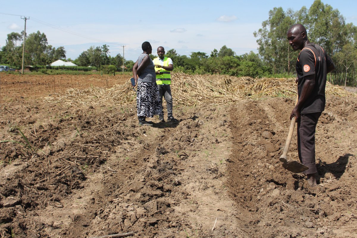 Busia Sugar Industry Ltd tweet media