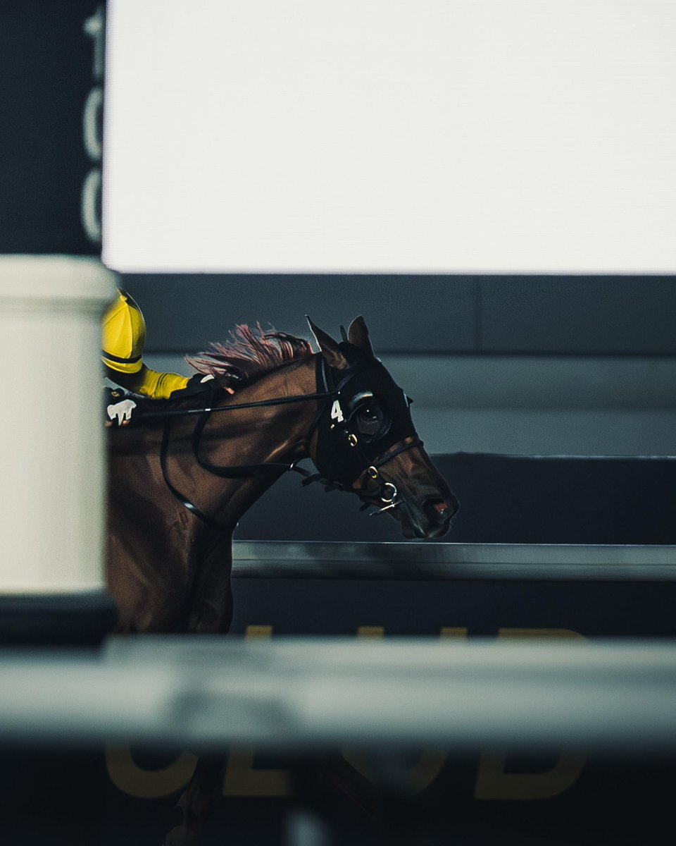 ARM Racing tweet media