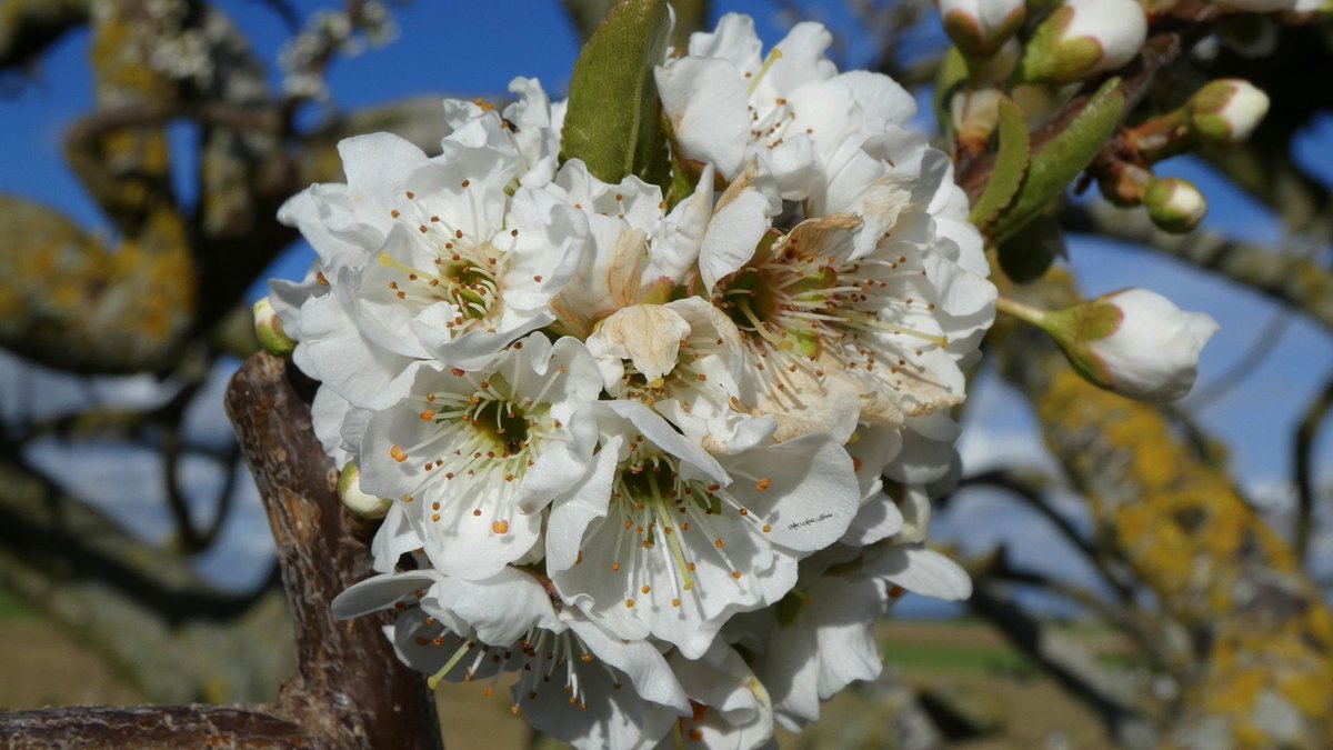 Ana María Herrero tweet media