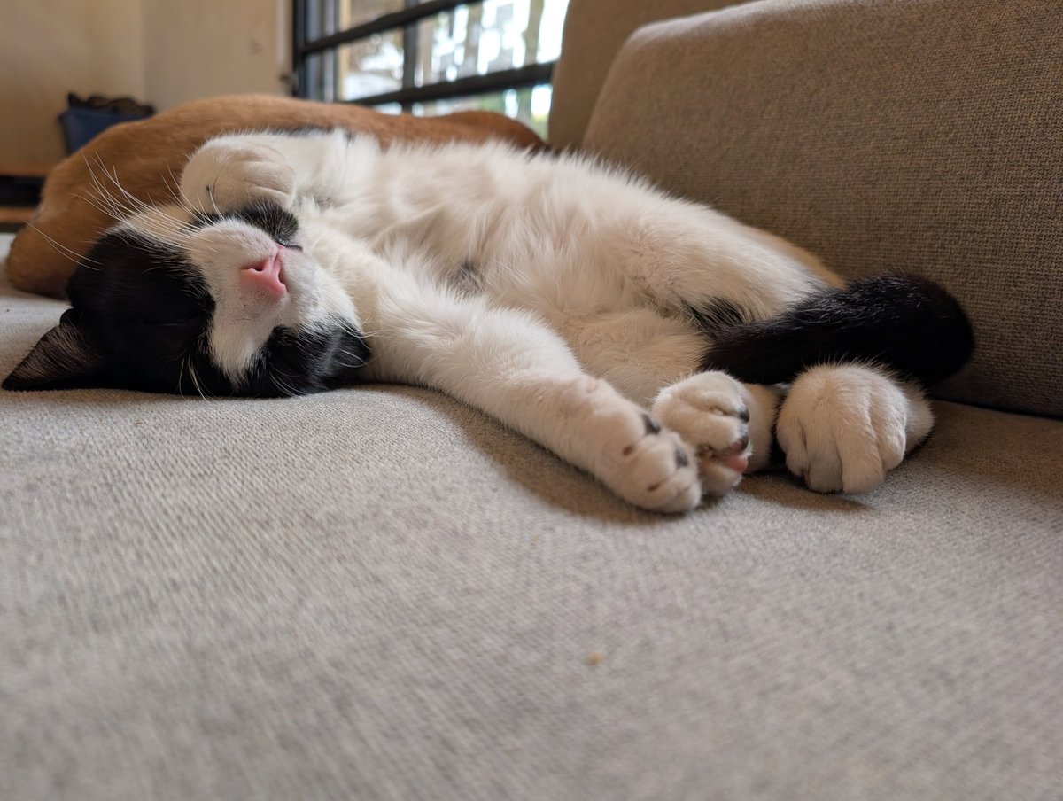 Sharon Besser tweet media