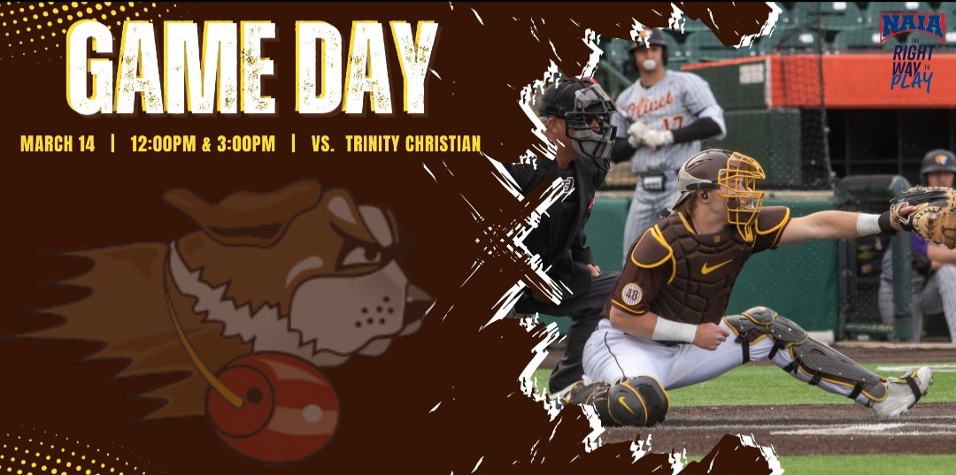 USF Saints Baseball tweet media