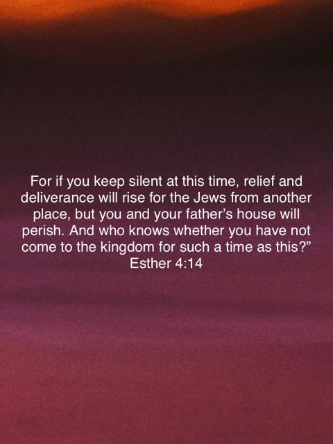 David Prindle tweet media