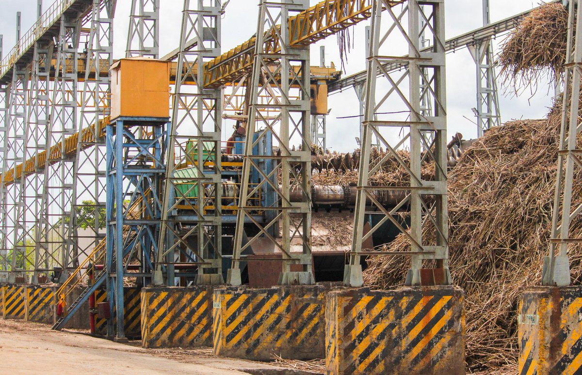 Busia Sugar Industry Ltd tweet media