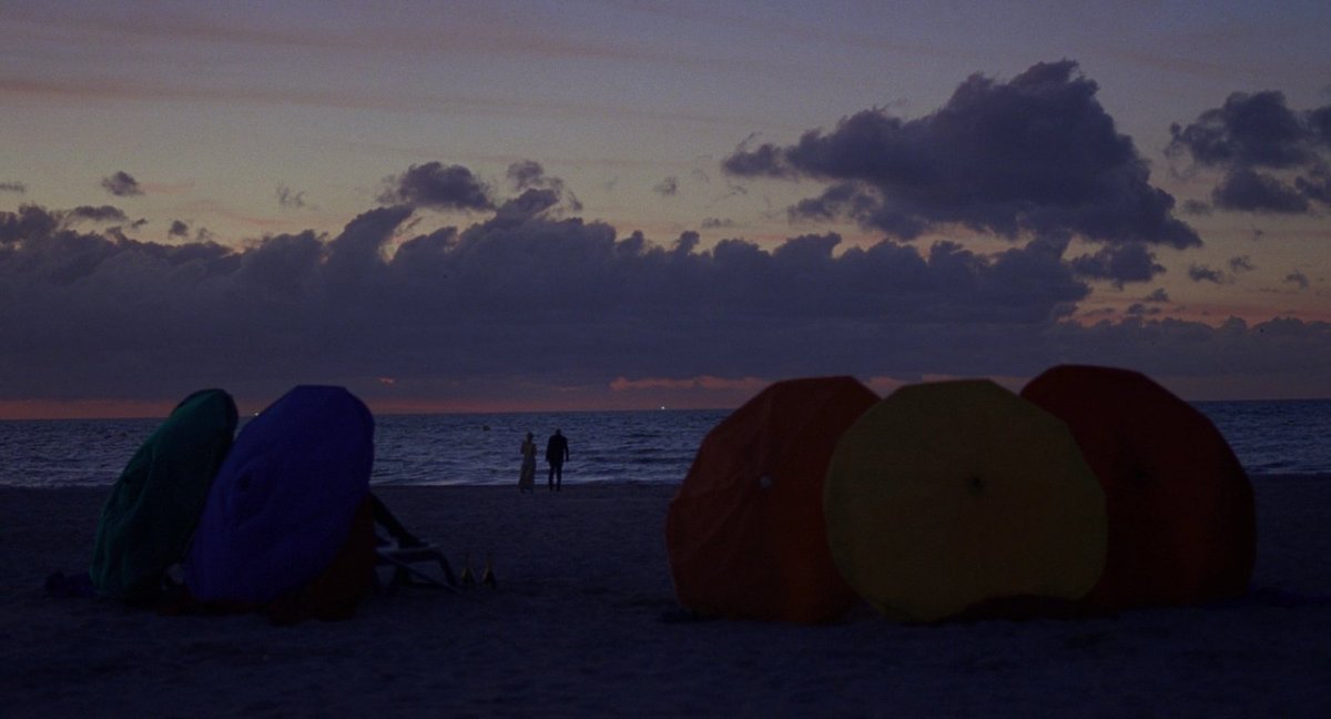 Cinema Scene tweet media