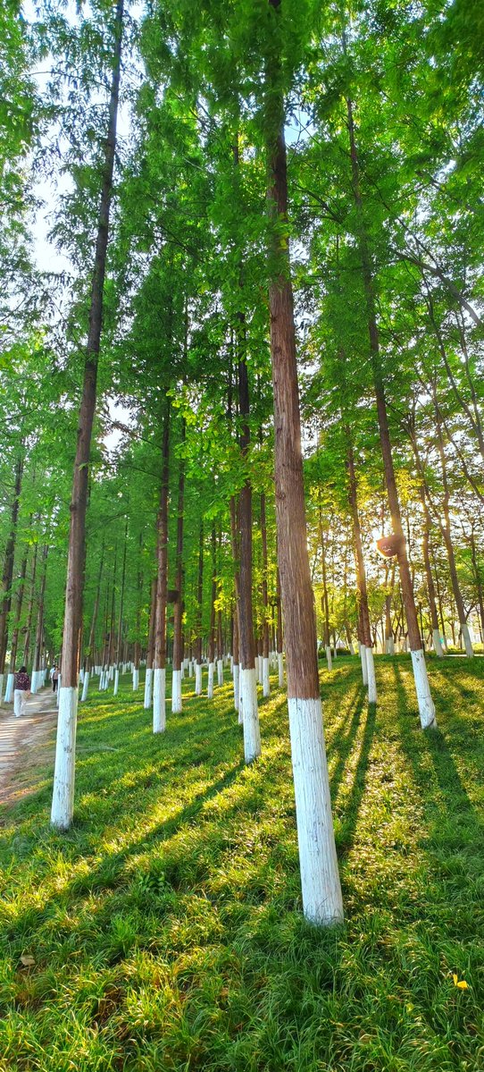 James Cooper tweet media