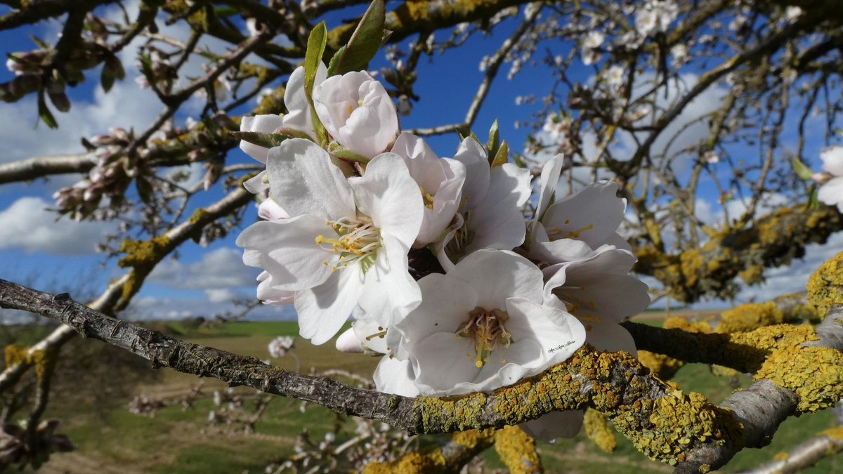 Ana María Herrero tweet media